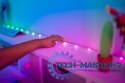Inteligentne lampki dekoracyjne Strings USB-C (Candies) 100 LED RGB, serca, przezroczysty przewód, 6 m