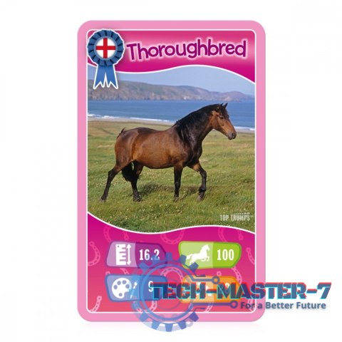 Gra karciana Top Trumps Konie, Kucyki i Jednorożce Gra karciana Top Trumps Konie, Kucyki i Jednorożce