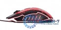Mysz Przewodowe TRUST 24618