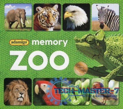 Memory ZOO Memory ZOO