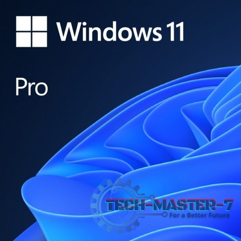 OEM Windows 11 Pro ENG x64 DVD FQC-10528 OEM Windows 11 Pro ENG x64 DVD FQC-10528