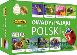 Gra Owady i pająki Polski memory