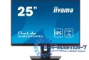 Monitor 25 cali XUB2595WSU-B5 IPS.PIVOT.16:10.USB.DP.HDMI.VGA.2x2W. 300(cd/m2).HAS(150mm) Monitor 25 cali XUB2595WSU-B5 IPS.PIVOT.16:10.USB.DP.HDMI.VGA.2x2W. 300(cd/m2).HAS(150mm)
