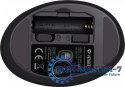 Mysz ergonomiczna pionowa YMS 50350 ERGO USB A , USB C Mysz ergonomiczna pionowa YMS 50350 ERGO USB A , USB C